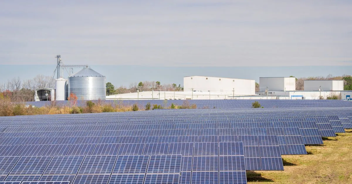 découvrez nos panneaux solaires performants et écologiques pour réduire votre facture d'électricité et contribuer à un avenir durable.
